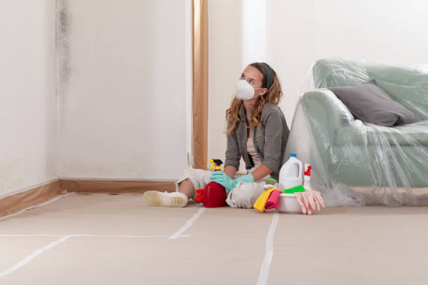 Reliable Mold Removal contractor in Sequim, WA by WQB Mold Removal